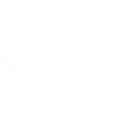 Ecommerce / SEO
